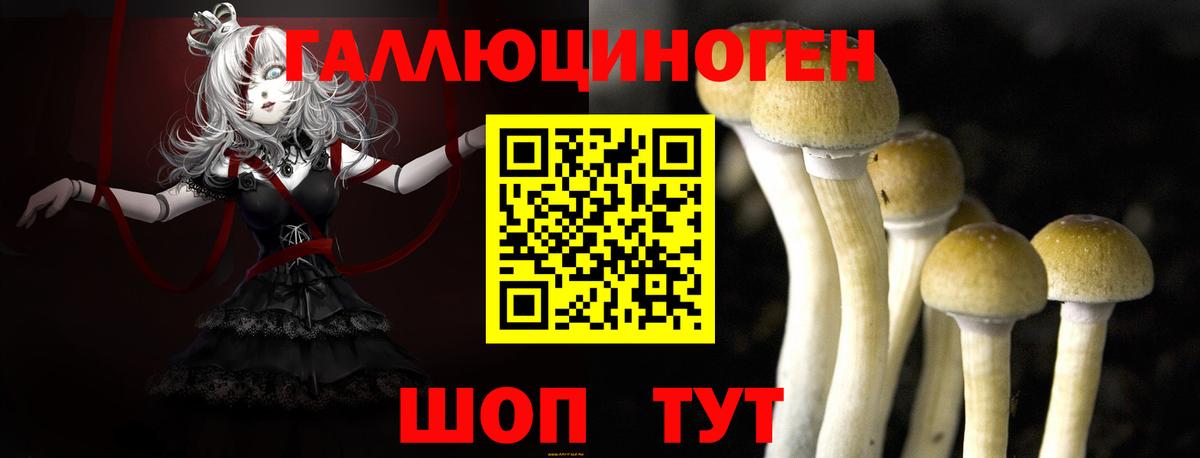 Новоалтайск  Псилоцибиновые грибы Cubensis  продажа наркотиков  Вход с VPN 
